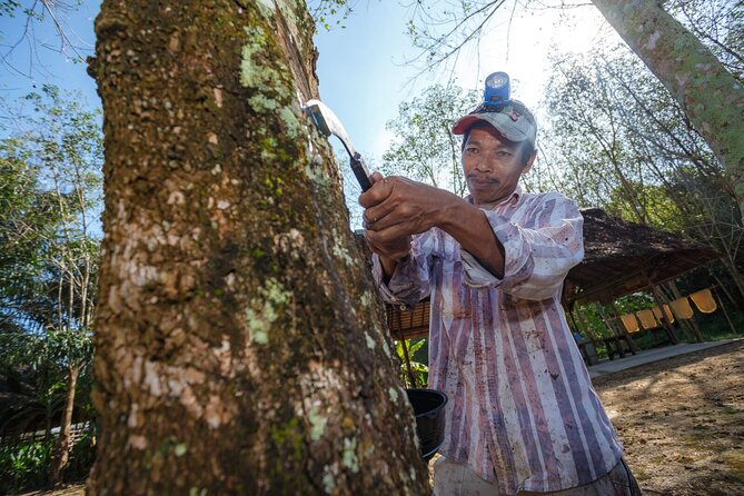 Full-Day Phuket Local Life Culture Tour With Pickup and Lunch - Background