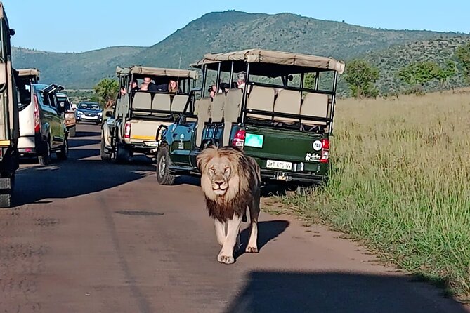 Full Day Pilanesberg Safari Adventure - Safari Highlights