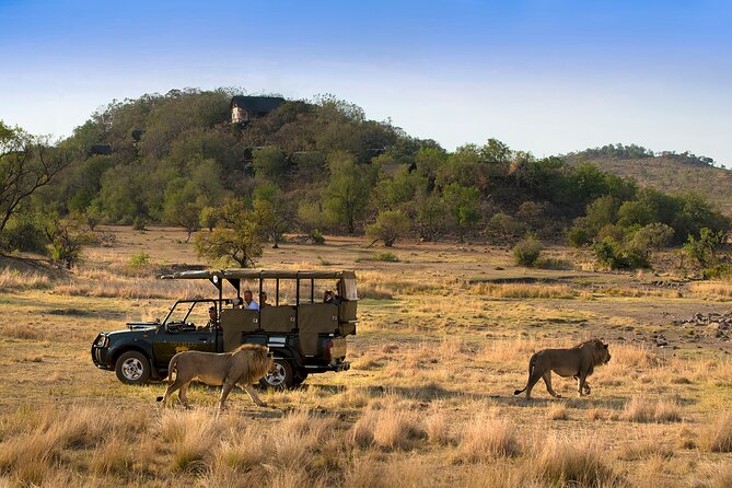 Full Day Pilanesberg Safari Adventure - Duration and Admission