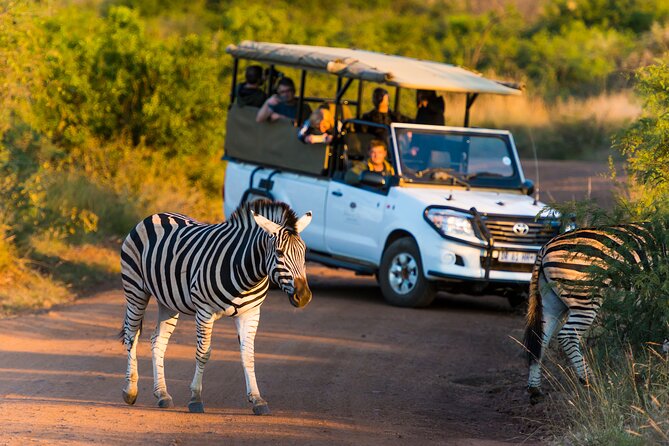 Full Day Pilanesberg Safari Adventure - Expert Tour Guide