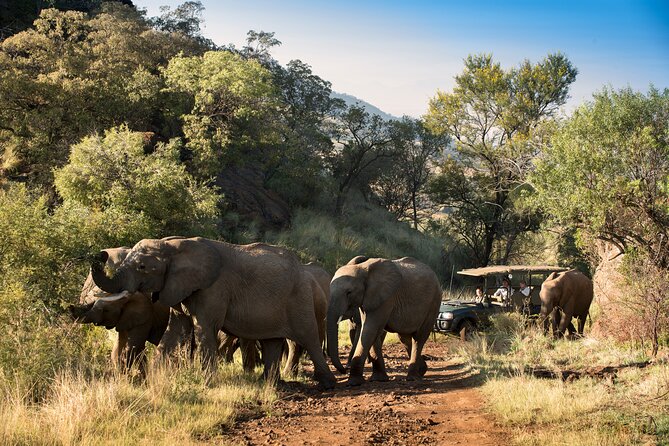 Full Day Pilanesberg Safari Adventure - Common Questions