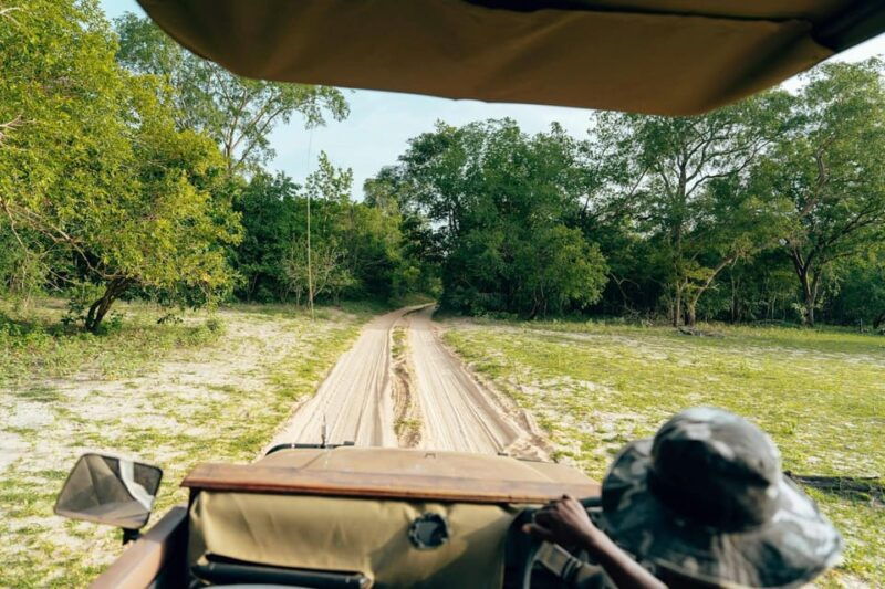 Full-Day Pilanesberg Safari from Sun City - Good To Know