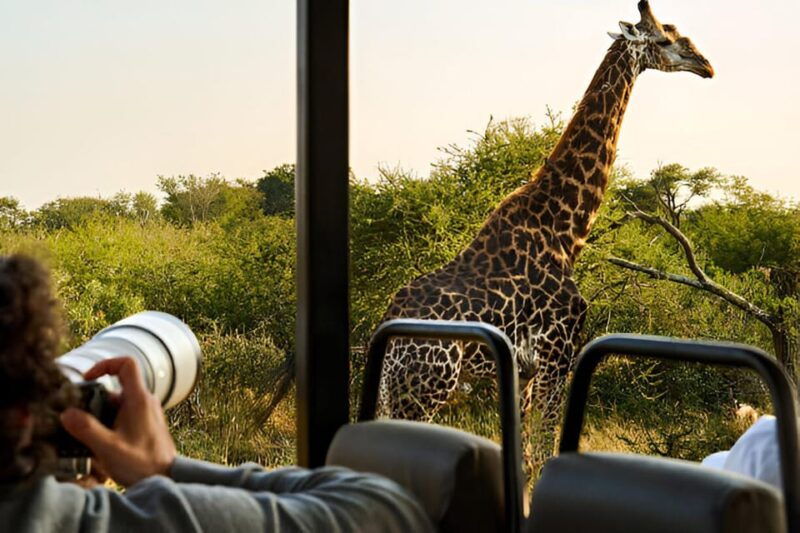 Full-Day Pilanesberg Safari from Sun City - Is This Tour Worth the Price?