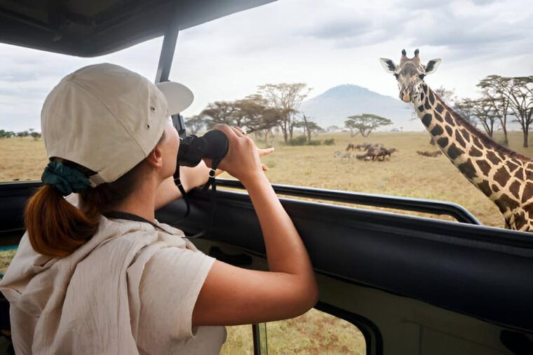 Full-Day Pilanesberg Safari from Sun City - The Experience in Detail: Why It Works