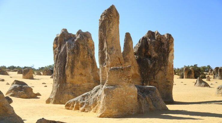 Full Day Pinnacles Desert and New Norcia - Activity Details