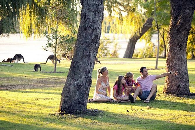 Full-Day Pinnacles Desert and Yanchep National Park Tour From Perth - Pricing and Inclusions