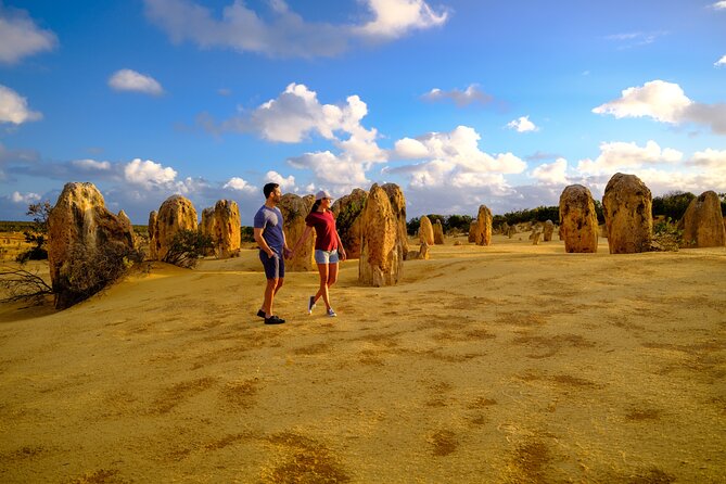 Full-Day Pinnacles Desert and Yanchep National Park Tour From Perth - Traveler Photos