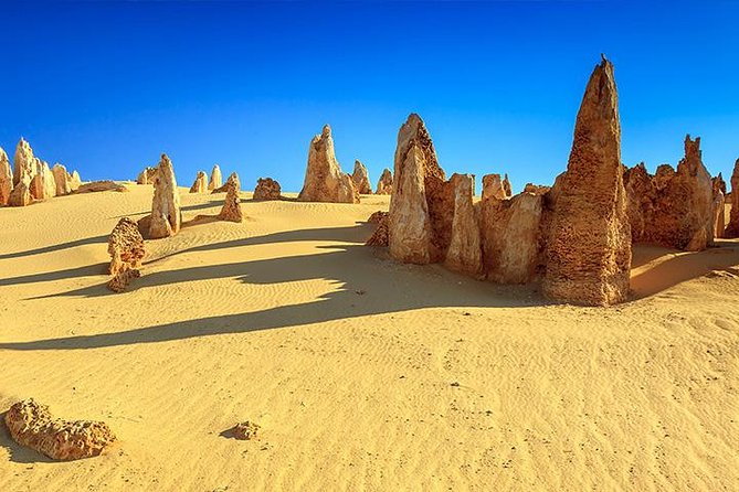 Full-Day Pinnacles Desert and Yanchep National Park Tour From Perth - Common Questions