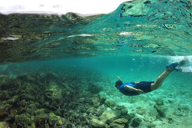 Full Day Pinzon Island, Finishing in La Fe With Snorkeling and Lunch Included - Tour Itinerary