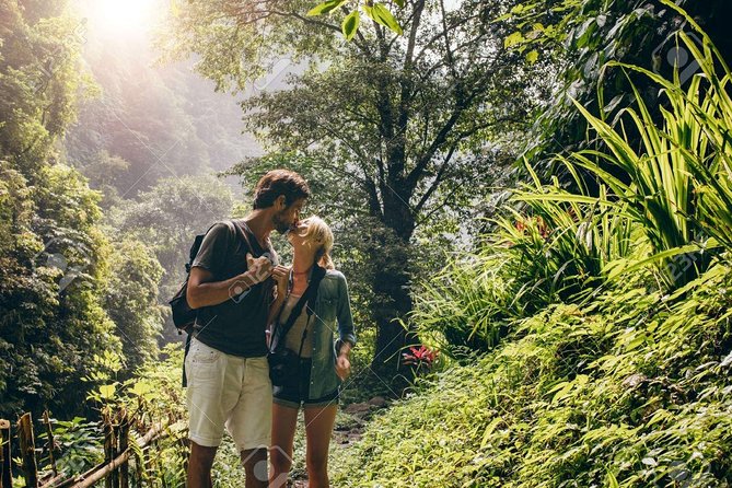 Full-Day Pokhara Private Couples Romantic Getaway With Dinner - Common Questions