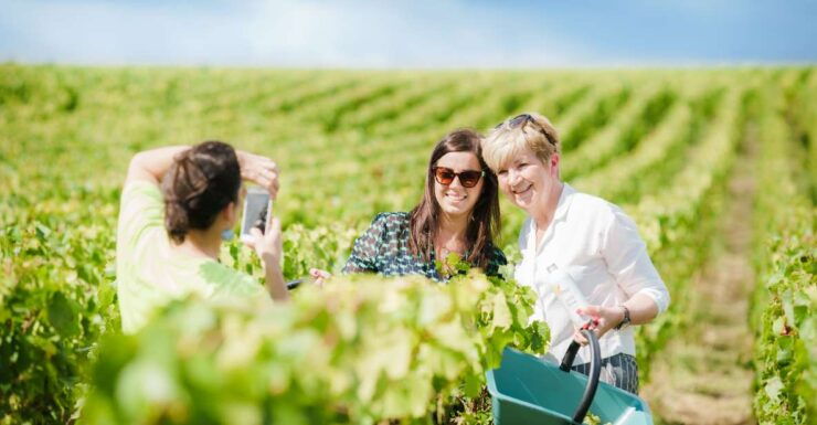 Full Day Pommery Small Group Tour - Good To Know