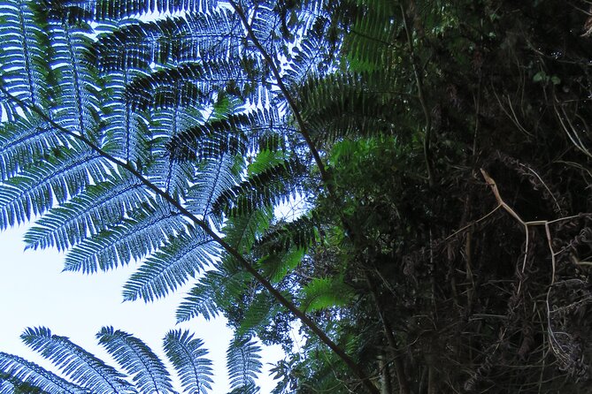 Full Day Private 4x4 Adventure in Madeira - Directions