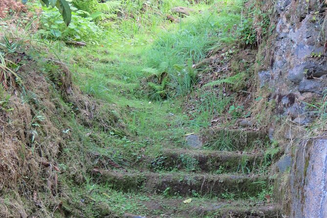 Full Day Private 4x4 Adventure in Madeira - Frequently Asked Questions