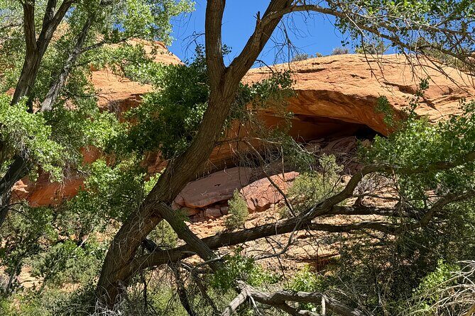 Full Day Private 4x4 Guided Jeep Experience in Moab - The Sum Up