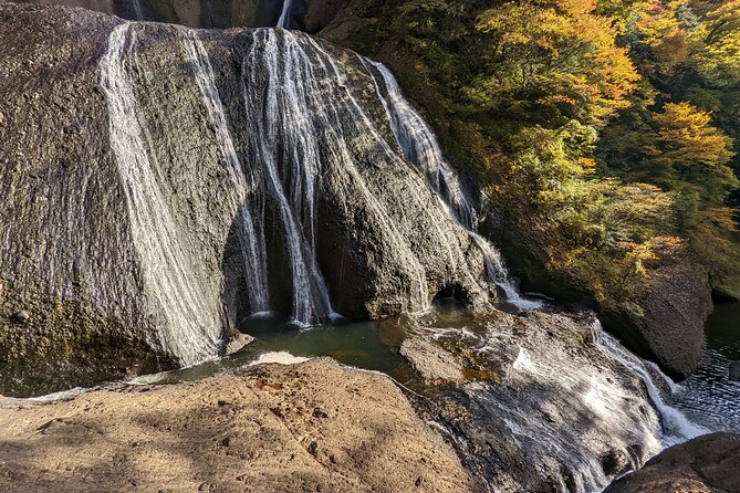 Full-Day Private Adventure in Ibaraki and Fukuroda Waterfalls - Group Activities