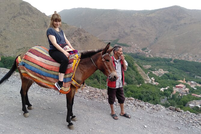 Full-Day Private Atlas Mountains and Agafay Desert Tour - Pickup and Start Time