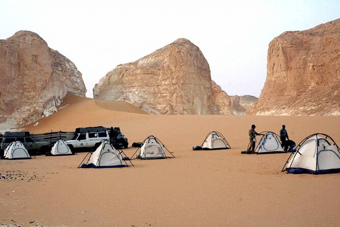 Full Day Private Bahariya Oasis and White Desert Tour From Cairo - Operational Information