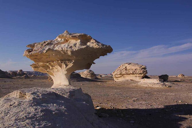 Full Day Private Bahariya Oasis and White Desert Tour From Cairo - Additional Details