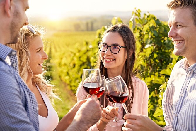 Full-Day Private Bairrada Sparkling Wine Tour From Coimbra - Tour Highlights