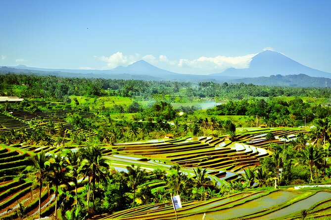 Full-Day Private Bali Car Charter With English Speaking Driver - Service Description