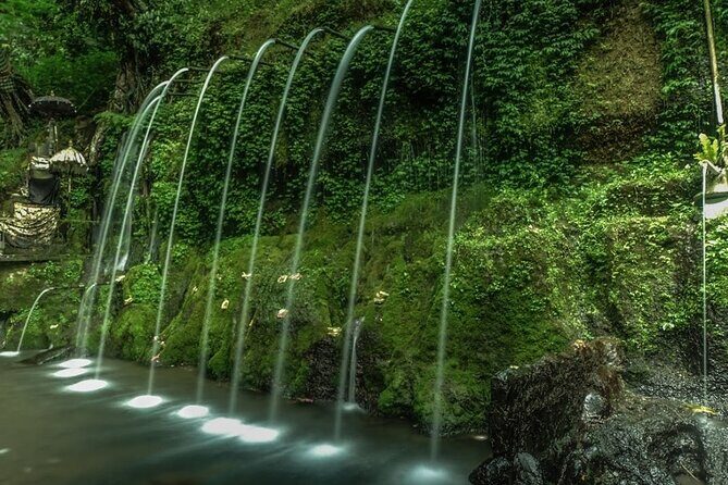 Full Day Private Bali Culinary Experience and Social Care Tour - Exploring the Itinerary in Detail