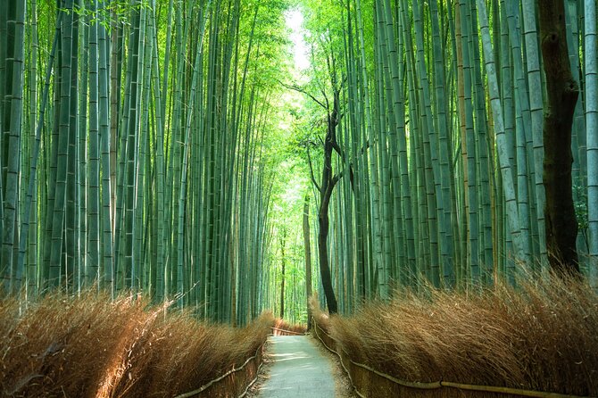 Full-Day Private Bamboo Grove and Golden Temple in Kyoto Tour - Booking Information