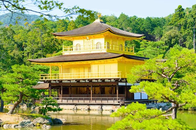 Full-Day Private Bamboo Grove and Golden Temple in Kyoto Tour - Common Questions