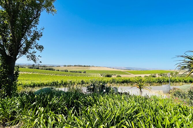 Full Day Private Barossa Valley Wine Tour - Booking and Cancellation Policies