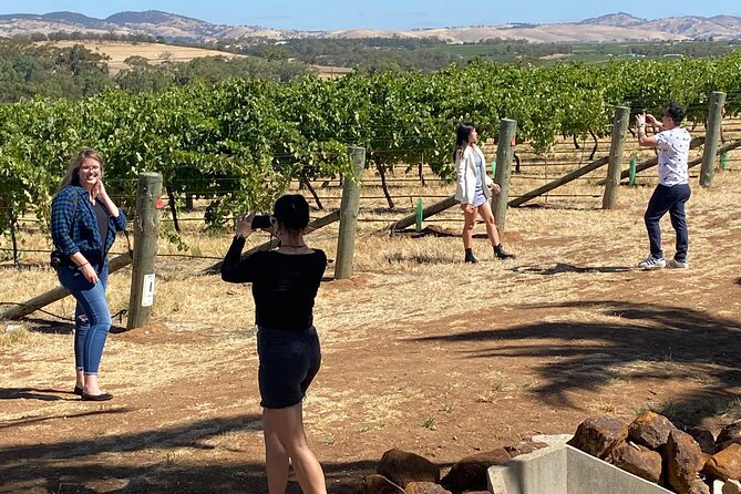 Full-Day Private Barossa Valley Wine Tour - Inclusions and Exclusions