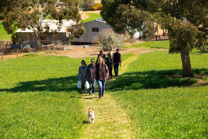 Full-Day Private Barossa Valley Wine Tour from Angaston - The Sum Up