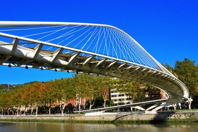 Full-Day Private Bilbao Tour (Guggenheim Museum & Full Pintxo Lunch Included) - Common Questions