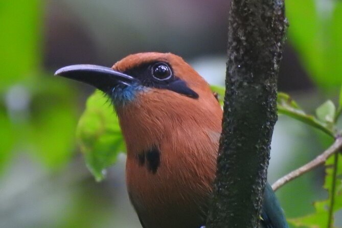 Full Day Private Bird and Nature Sightseeing Tour in Pipe Line - Transportation Details