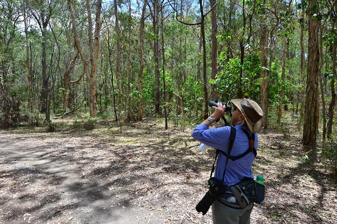 Full Day Private Bird Watching Tour in Phulchoki - Tour Itinerary