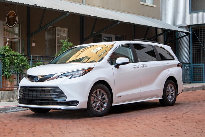 Full Day Private Bird Watching Tour in Phulchoki - Expert Bird Guide