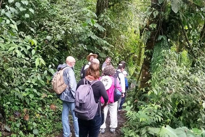 Full-Day Private Birding Tour in La Paz Refuge & Alambi Hummingbird Sanctuary - Itinerary Overview