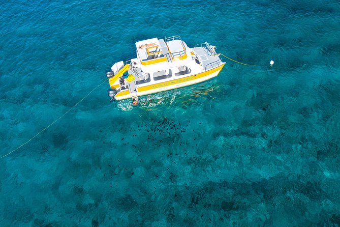 Full Day Private Boat Charter at Grace Bay, Providenciales - Stop at Half Moon Bay
