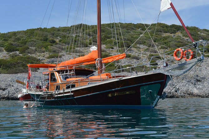 Full-Day Private Boat Cruise From Bodrum - Reviews