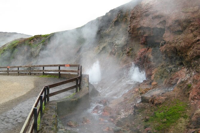 Full Day Private Borgarfjörður Tour (1 - 8 Person) - Suitable for Groups of 1 to 8 People