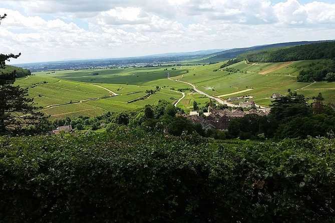Full-Day Private Burgundy Wine Route Tour From Beaune - Visiting Prestigious Wineries