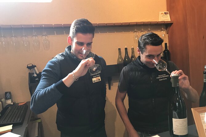 Full-Day Private Burgundy Wine Route Tour From Beaune - The Sum Up