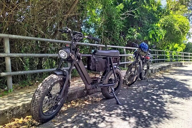 Full Day Private Can Gio Mangrove and Vung Tau Exclusive Ebike Adventure - Common Questions
