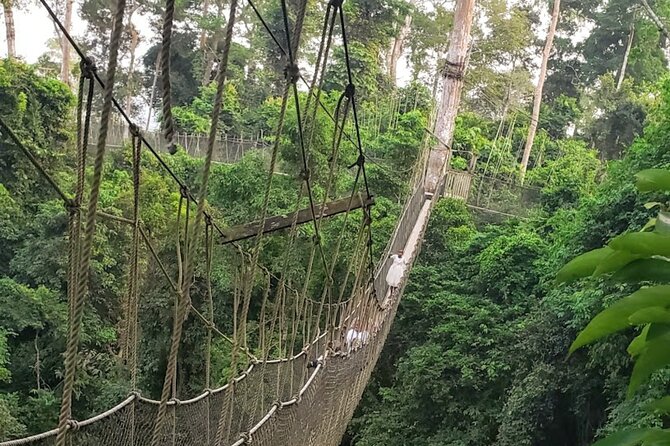 Full-Day Private Cape Coast Tour - Reviews and Feedback