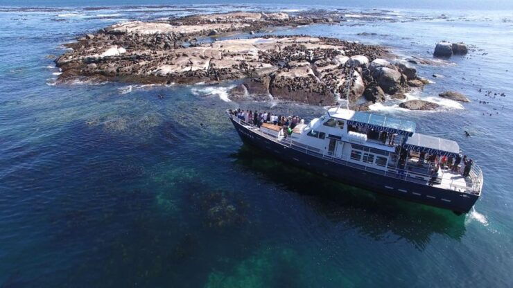 Full Day Private Cape Peninsula and Boulders Beach Tour - Itinerary