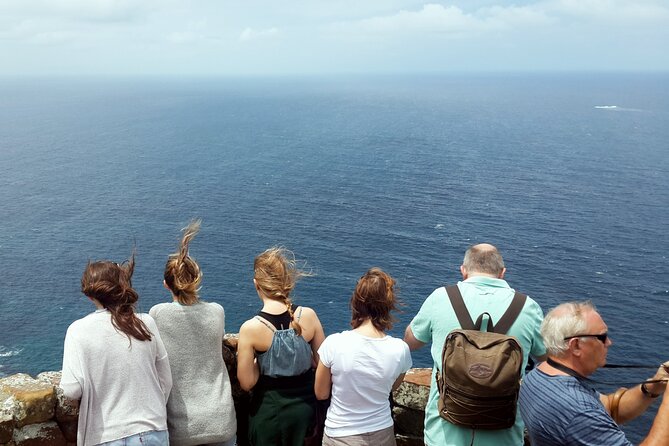 Full-Day Private Cape Peninsula Tour - Inclusions and Services Provided