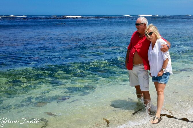 Full-Day Private Cape Peninsula Tour - Pickup Point Options and Start Time