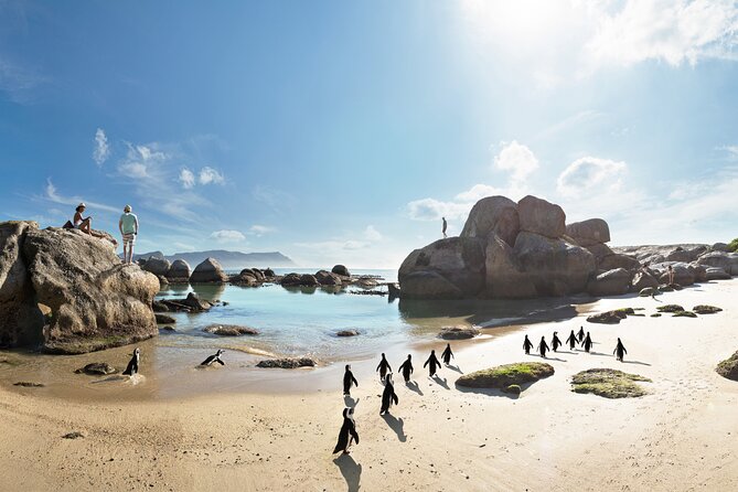 Full Day Private Cape Point & Peninsula - The Sum Up