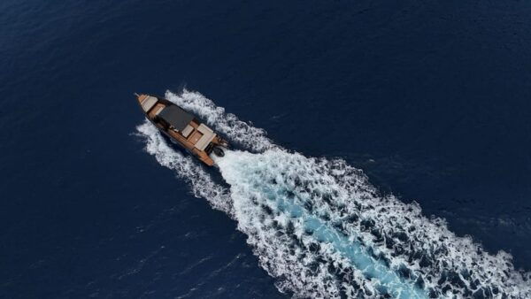 Full Day Private Captain Cruise - Frequently Asked Questions