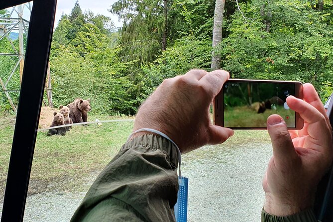 Full-Day Private Carpatian Garden With Draculas Fortress - Wild Brown Bears - Tour Highlights