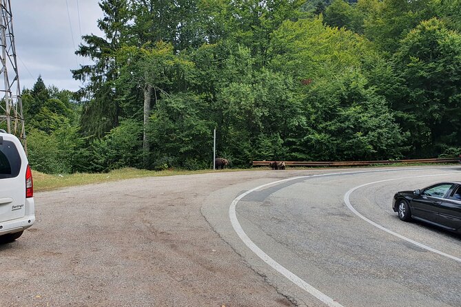 Full-Day Private Carpatian Garden With Draculas Fortress - Wild Brown Bears - Cancellation and Refund Policy