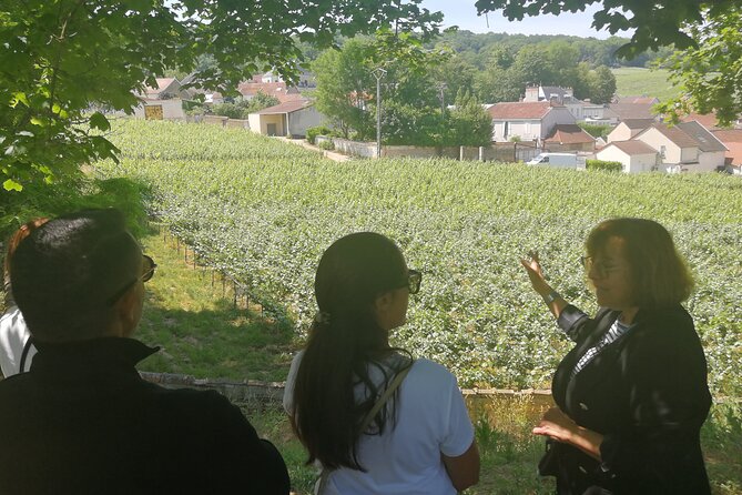 Full-Day Private Champagne Tasting in Reims and Its Vineyards - Inclusions